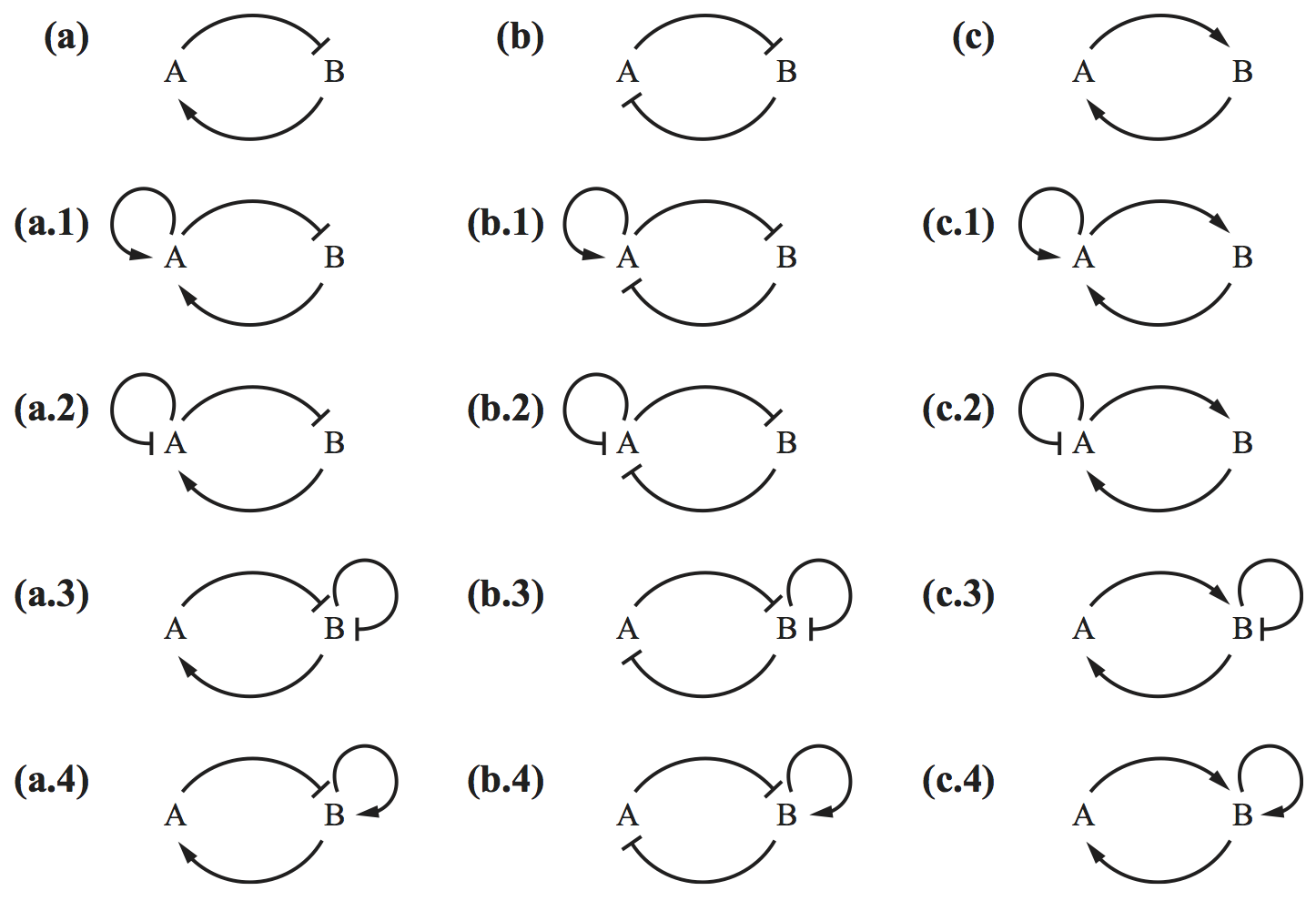 Del Vecchio and Murray circuits