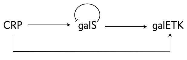 gal E system