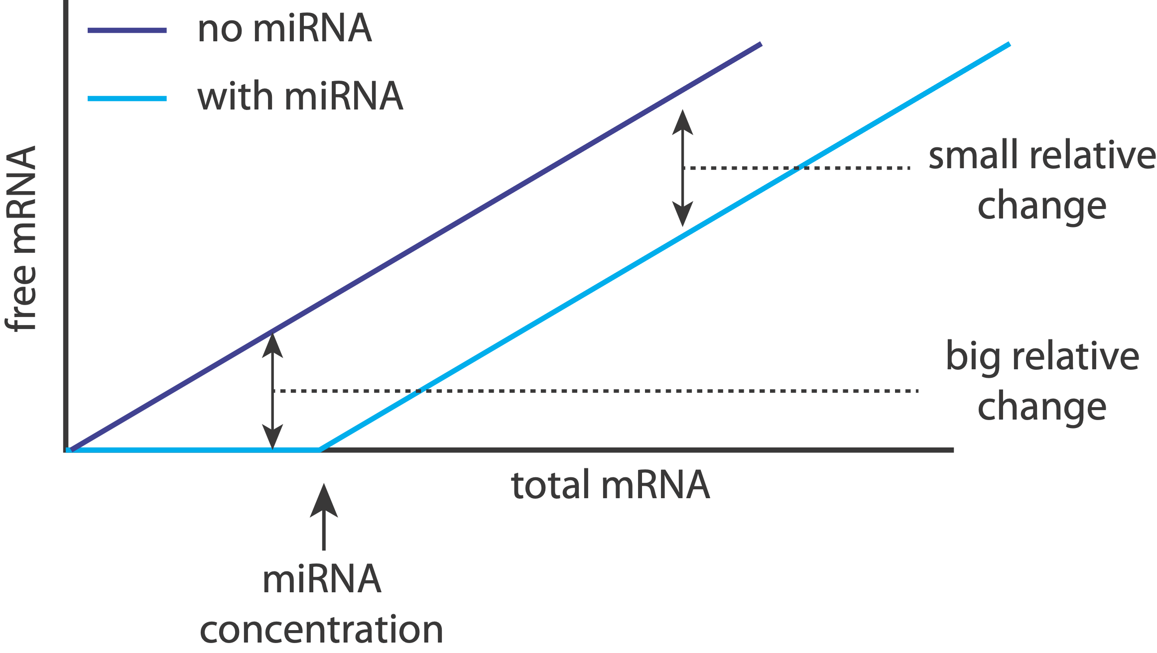 miRNA_relative_change.png