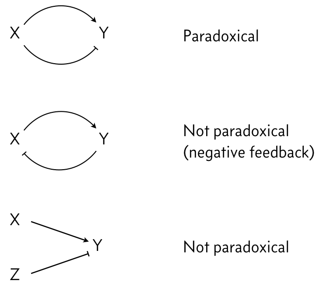 paradoxical/not paradoxical